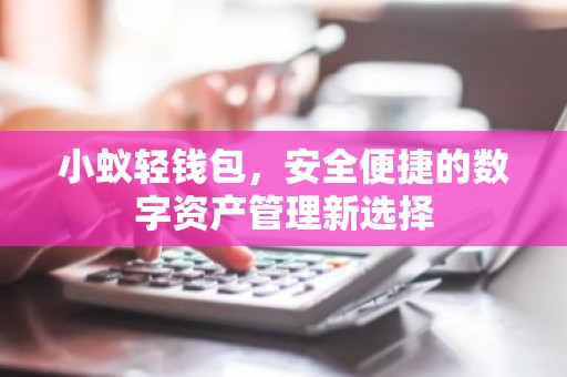 小蚁轻钱包，安全便捷的数字资产管理新选择
