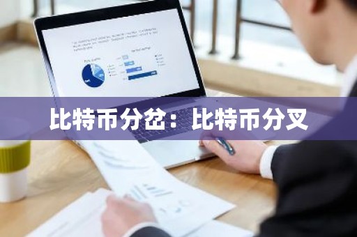 比特币分岔：比特币分叉