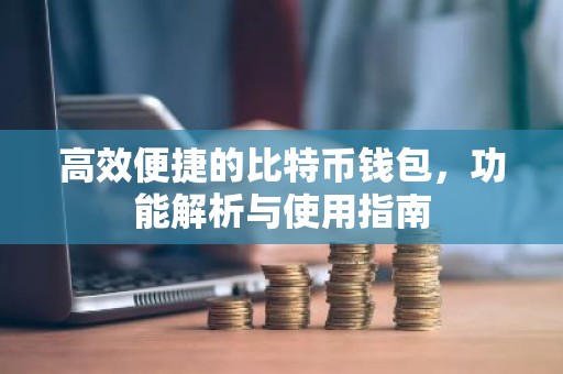 高效便捷的比特币钱包，功能解析与使用指南