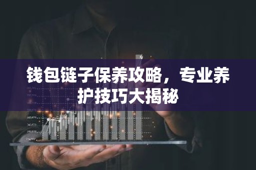 钱包链子保养攻略，专业养护技巧大揭秘