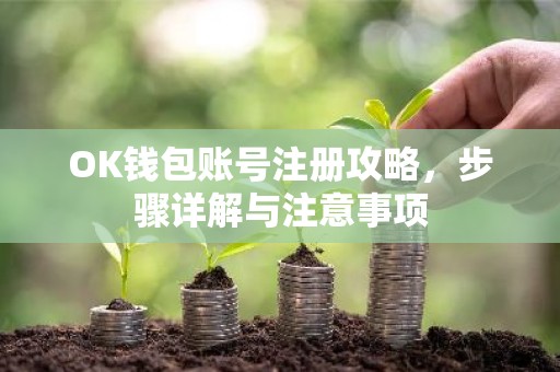 OK钱包账号注册攻略，步骤详解与注意事项
