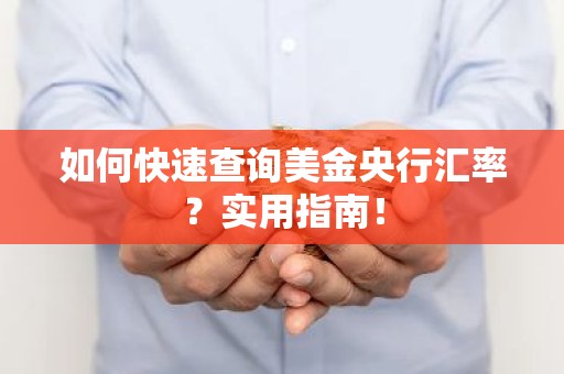 如何快速查询美金央行汇率？实用指南！