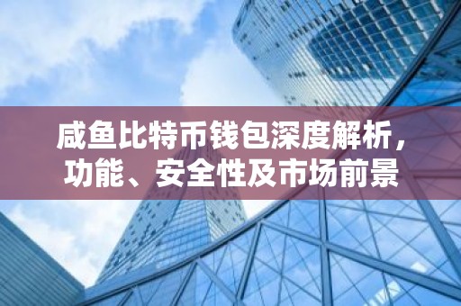咸鱼比特币钱包深度解析，功能、安全性及市场前景