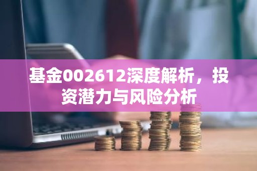 基金002612深度解析，投资潜力与风险分析