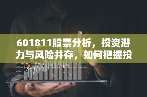 601811股票分析，投资潜力与风险并存，如何把握投资机会？