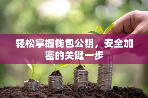 轻松掌握钱包公钥，安全加密的关键一步