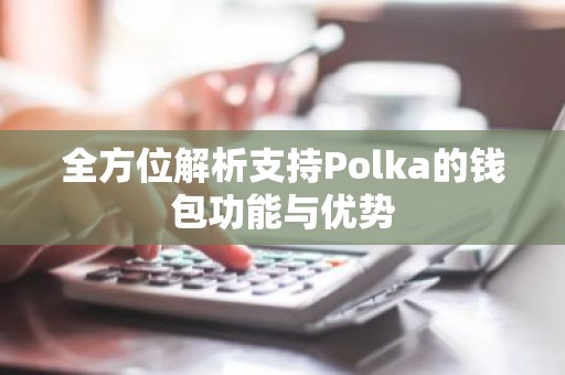 全方位解析支持Polka的钱包功能与优势
