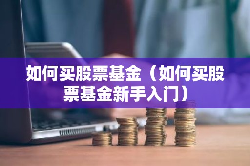 如何买股票基金（如何买股票基金新手入门）