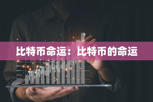 比特币命运：比特币的命运