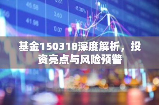 基金150318深度解析，投资亮点与风险预警