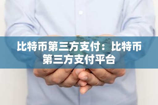 比特币第三方支付：比特币第三方支付平台