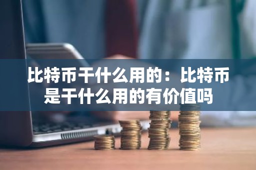 比特币干什么用的：比特币是干什么用的有价值吗