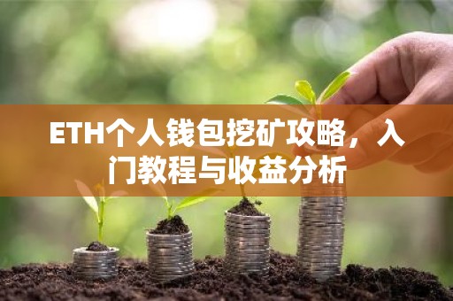 ETH个人钱包挖矿攻略，入门教程与收益分析
