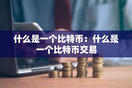 什么是一个比特币：什么是一个比特币交易
