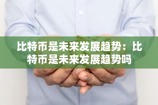 比特币是未来发展趋势：比特币是未来发展趋势吗