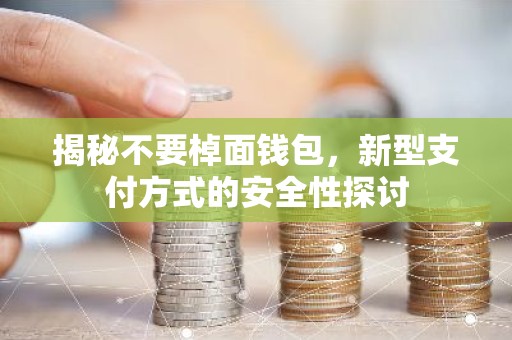 揭秘不要棹面钱包，新型支付方式的安全性探讨