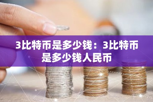 3比特币是多少钱：3比特币是多少钱人民币
