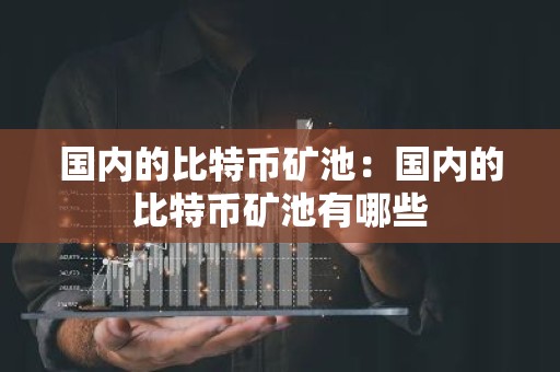 国内的比特币矿池：国内的比特币矿池有哪些