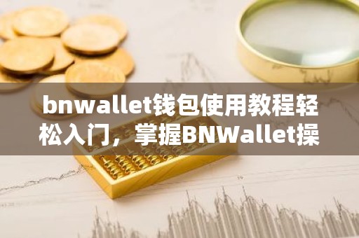 bnwallet钱包使用教程轻松入门，掌握BNWallet操作步骤