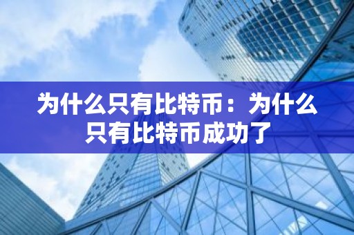 为什么只有比特币：为什么只有比特币成功了