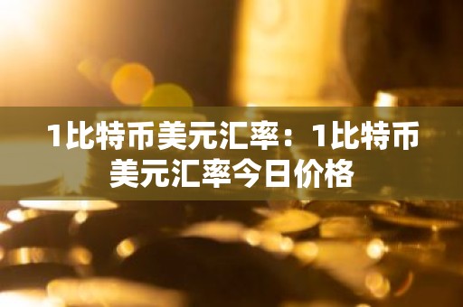 1比特币美元汇率：1比特币美元汇率今日价格