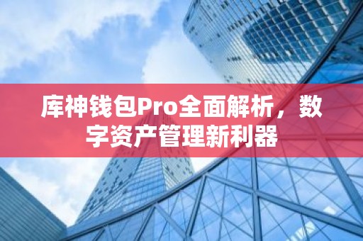 库神钱包Pro全面解析，数字资产管理新利器