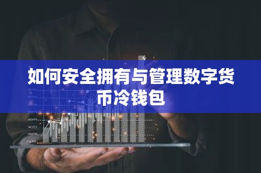 如何安全拥有与管理数字货币冷钱包