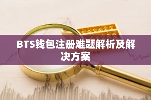BTS钱包注册难题解析及解决方案