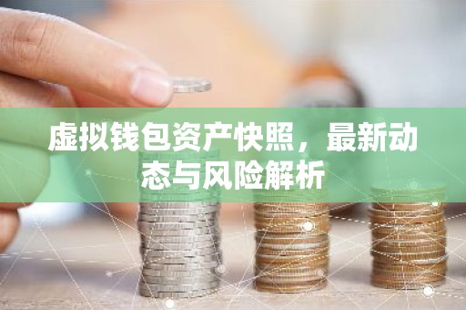 虚拟钱包资产快照，最新动态与风险解析