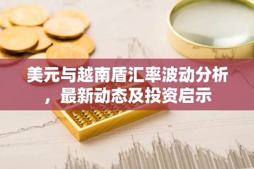 美元与越南盾汇率波动分析，最新动态及投资启示