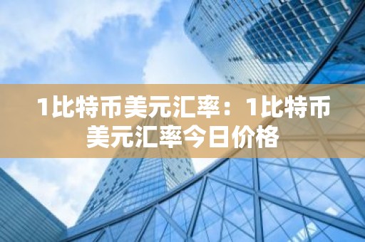 1比特币美元汇率：1比特币美元汇率今日价格