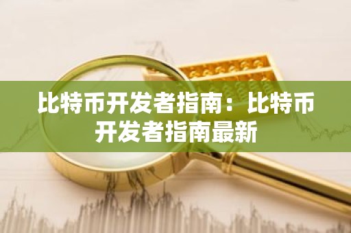 比特币开发者指南：比特币开发者指南最新