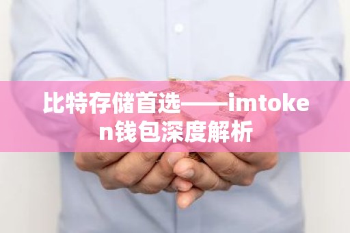比特存储首选——imtoken钱包深度解析