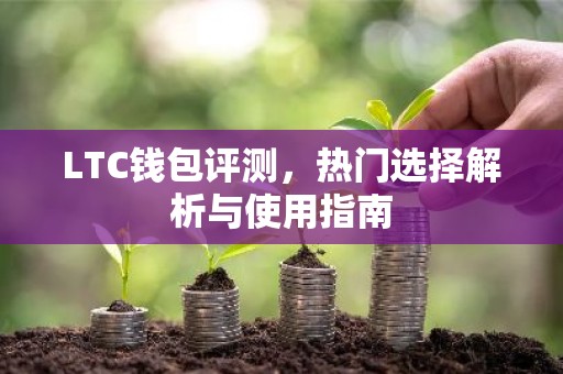 LTC钱包评测，热门选择解析与使用指南
