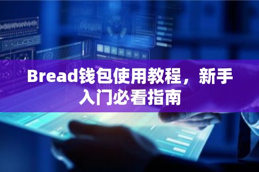 Bread钱包使用教程，新手入门必看指南