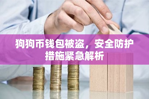 狗狗币钱包被盗，安全防护措施紧急解析