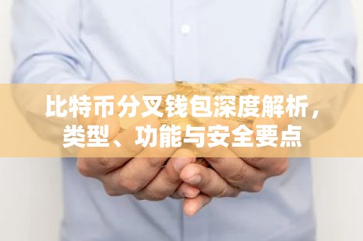 比特币分叉钱包深度解析，类型、功能与安全要点
