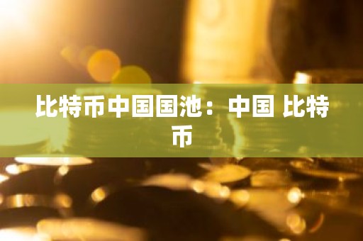 比特币中国国池：中国 比特币
