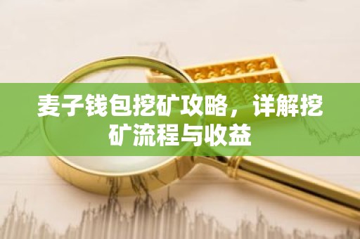 麦子钱包挖矿攻略，详解挖矿流程与收益