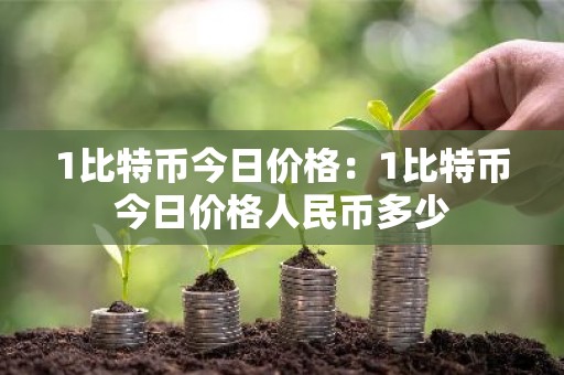 1比特币今日价格：1比特币今日价格人民币多少