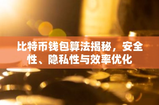 比特币钱包算法揭秘，安全性、隐私性与效率优化