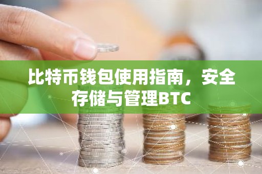 比特币钱包使用指南，安全存储与管理BTC