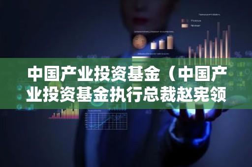 中国产业投资基金（中国产业投资基金执行总裁赵宪领）