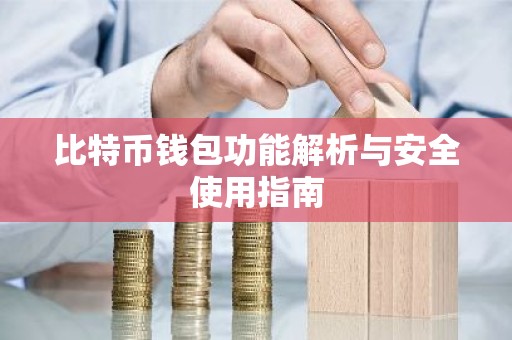 比特币钱包功能解析与安全使用指南