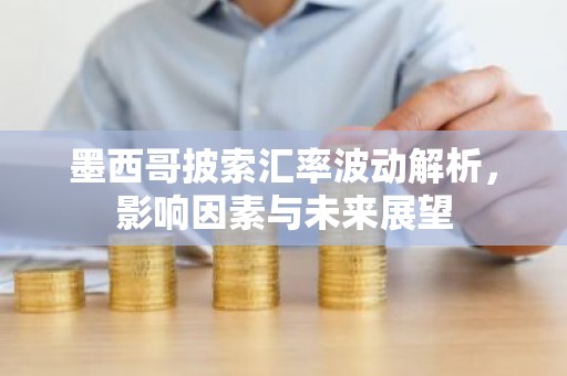 墨西哥披索汇率波动解析，影响因素与未来展望
