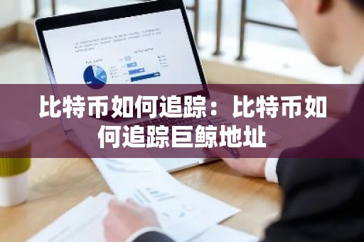 比特币如何追踪：比特币如何追踪巨鲸地址