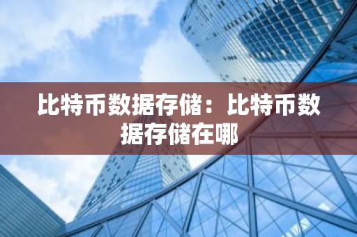 比特币数据存储：比特币数据存储在哪