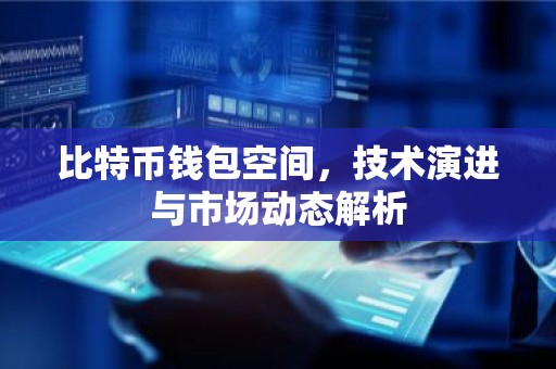 比特币钱包空间，技术演进与市场动态解析