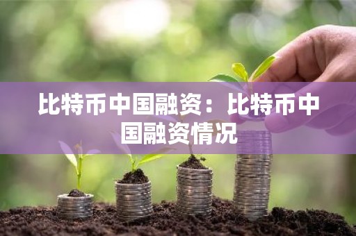 比特币中国融资：比特币中国融资情况