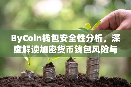 ByCoin钱包安全性分析，深度解读加密货币钱包风险与防护